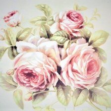 Old fashion english rose