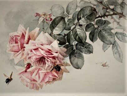 bees and roses 2 - птицы, цветы - оригинал