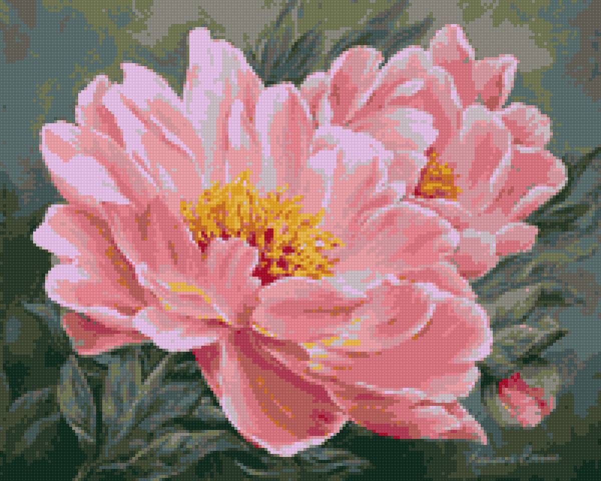 пионы20 200на160 - предпросмотр