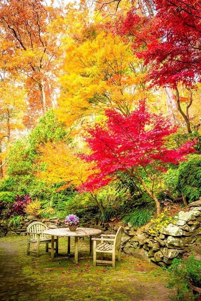 Осень - осень, красота, пейзаж - оригинал