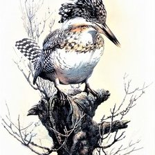 Схема вышивки «Birds»