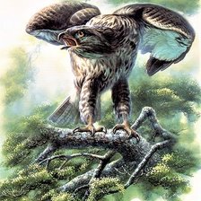 Схема вышивки «Birds 3»