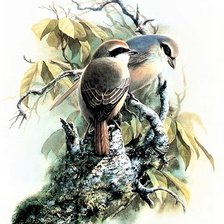 Схема вышивки «Birds 4»