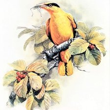 Схема вышивки «Birds 6»