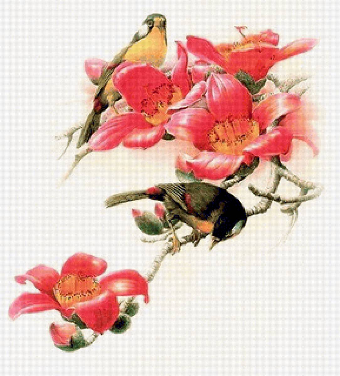 Birds 7 - птицы - предпросмотр