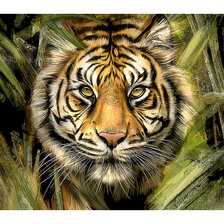 Схема вышивки «Тигр. Живопись.»