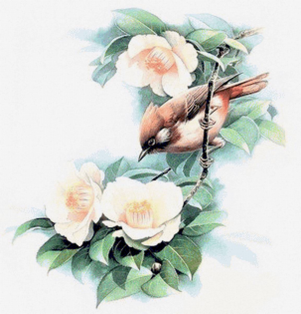 Birds 13 - птицы - предпросмотр