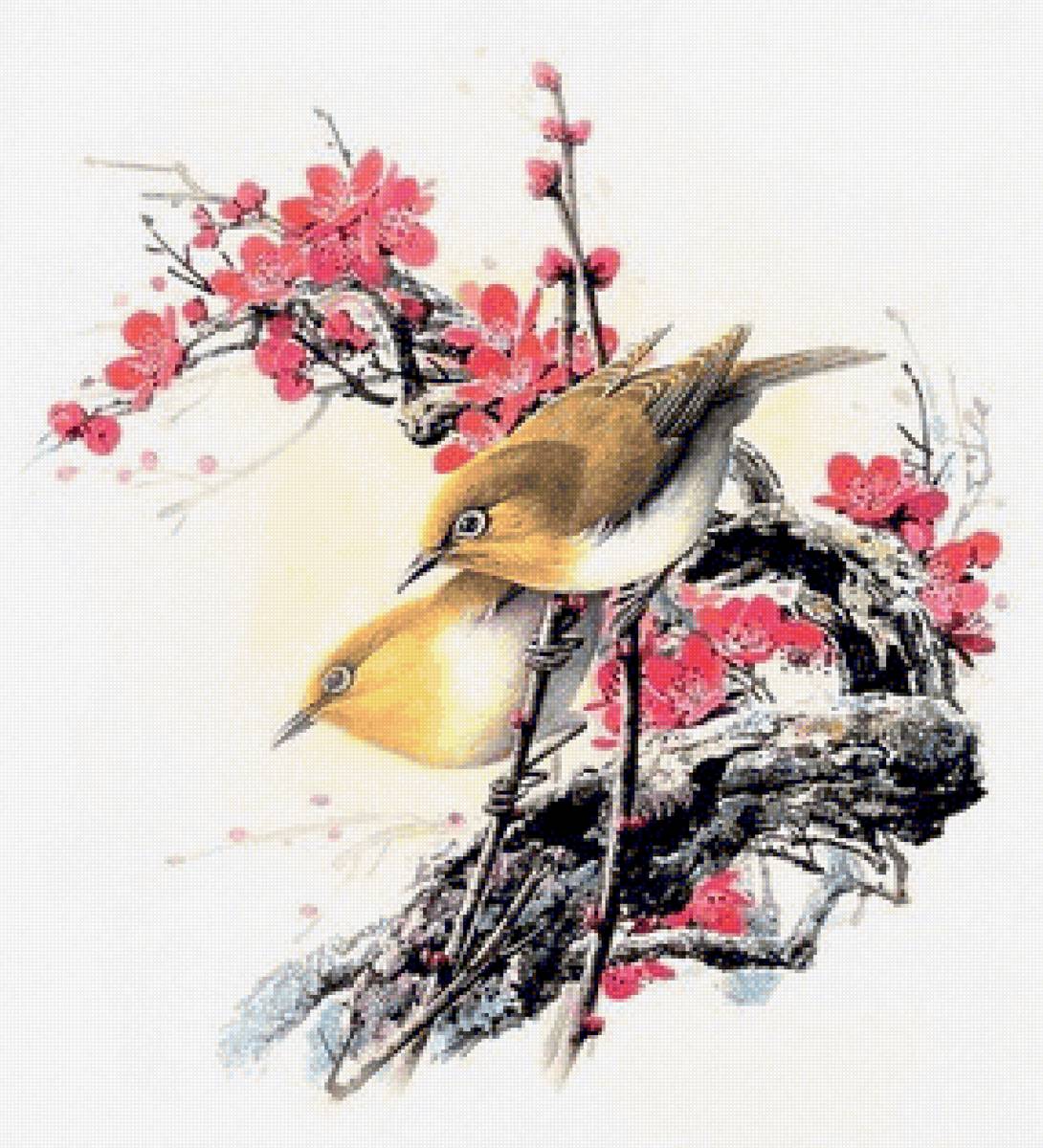 Birds 15 - птицы - предпросмотр