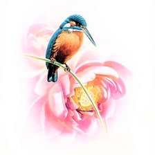 Схема вышивки «Birds 16»