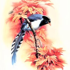 Схема вышивки «Birds 17»