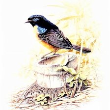 Схема вышивки «Birds 19»