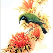 Схема вышивки «Birds 21»