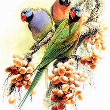 Схема вышивки «Birds 22»