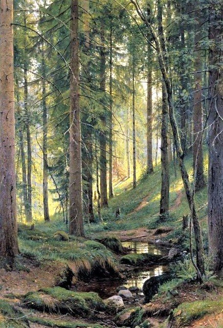 Forest creeck - пейзажи - оригинал