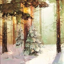 Winter in forest