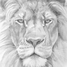 Схема вышивки «№2184262»