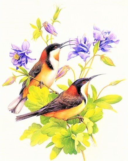 Couple birds - птицы - оригинал