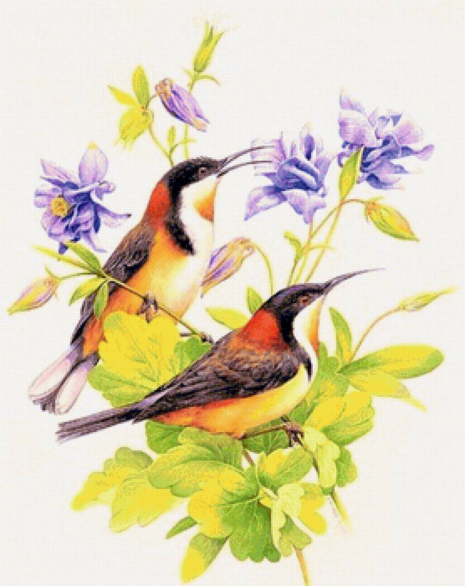 Couple birds - птицы - предпросмотр