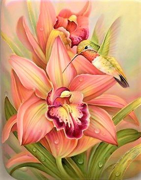 Colibri and Orhides - птицы, цветы - оригинал