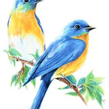 Схема вышивки «Сouple birds»