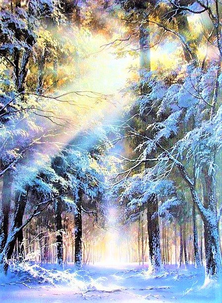 Winter forest 2 - пейзажи - оригинал