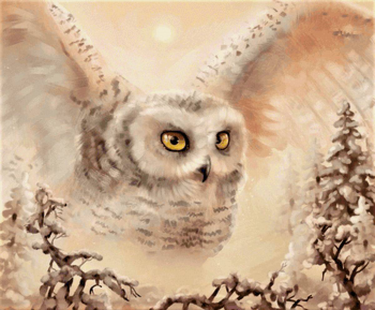 Страж ночи (gamma) - птицы - предпросмотр