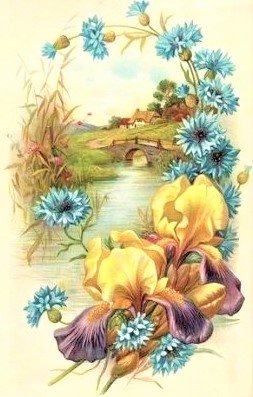 вот моя деревня - пейзажи, цветы - оригинал