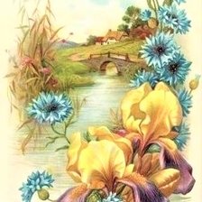 вот моя деревня