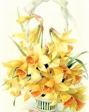 Схема вышивки «Нарцыссы»