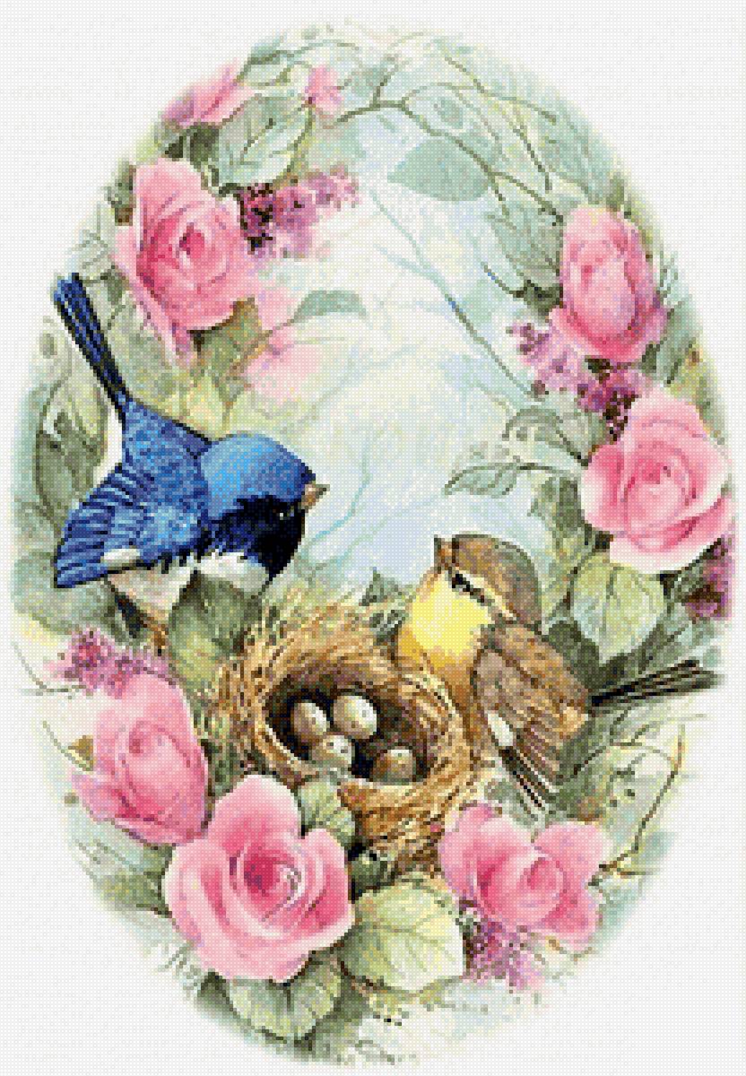 Family nest (gamma) - птицы - предпросмотр