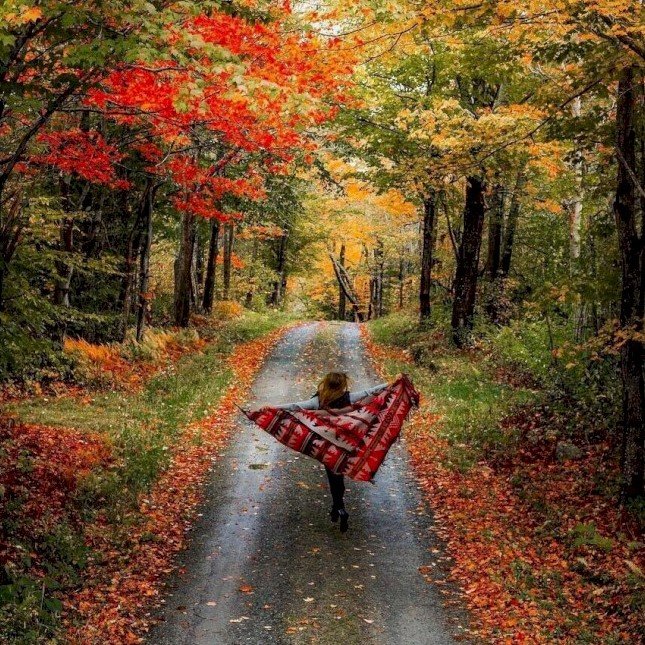 настроение - осень, девушка, красота - оригинал