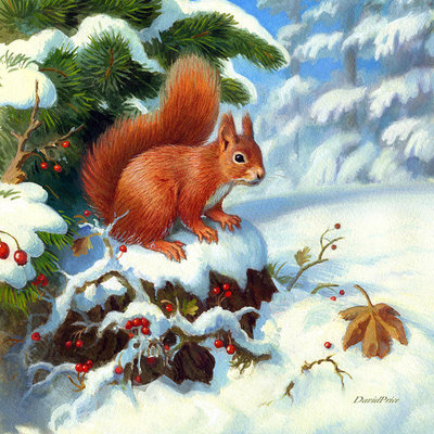 Белка - оригинал