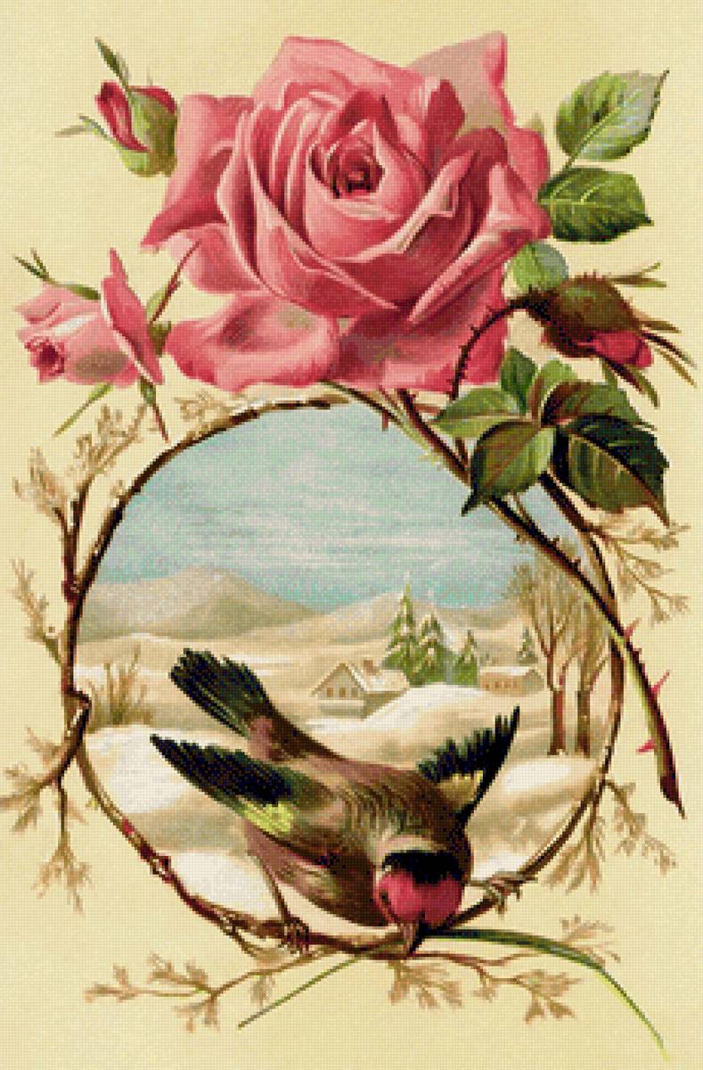 Винтажная открытка - птичка, открытка, зима, винтаж - предпросмотр