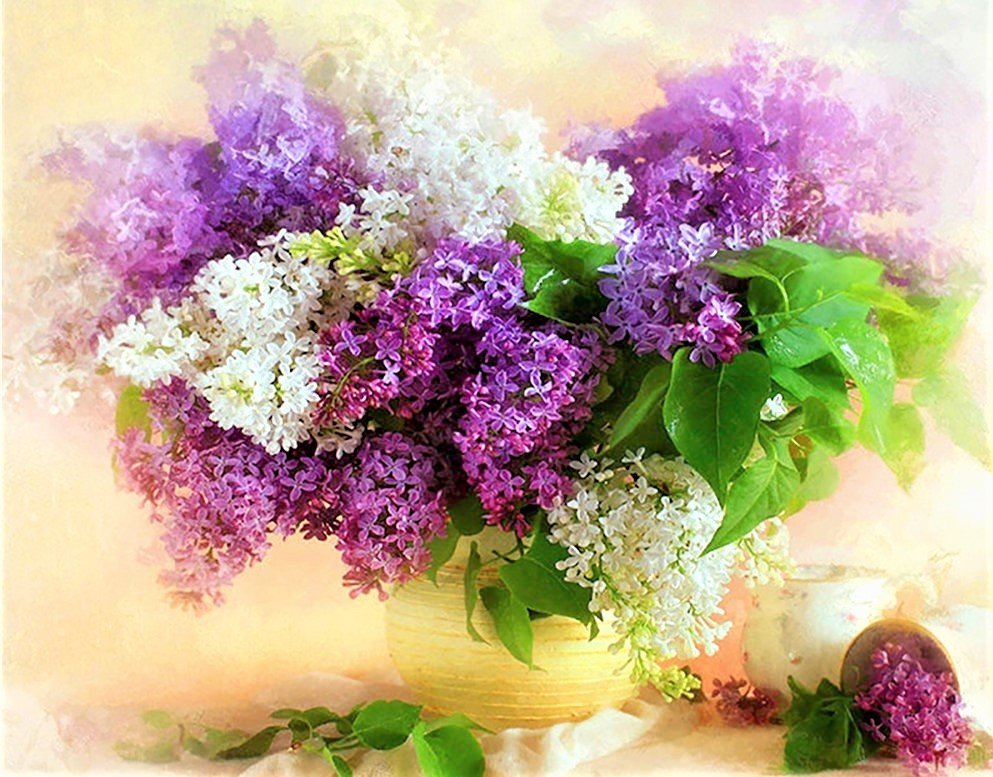 bukiet bzów - оригинал