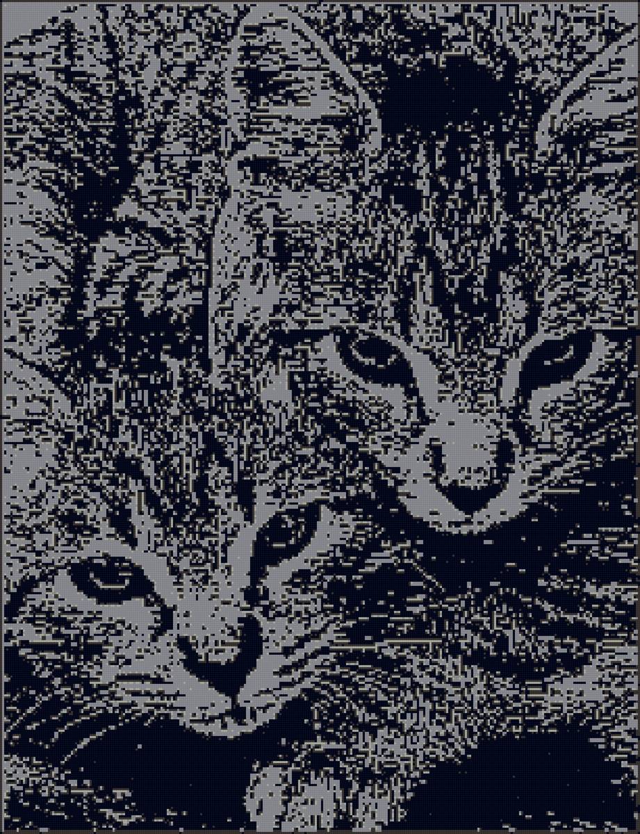 киски - предпросмотр