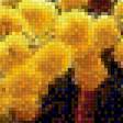 Предпросмотр схемы вышивки «Букет цветов» (№2185866)