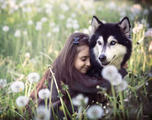 №2185977 - лес, девочка, дети, собака, природа, ромашка - оригинал