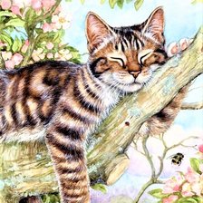 Схема вышивки «relaxing»