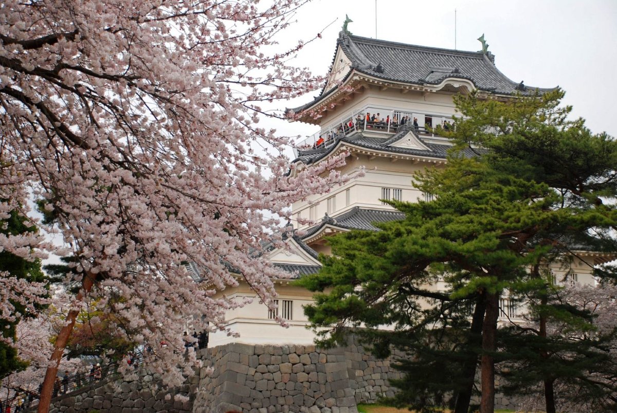 Японская весна - пагода, сакура, сосна - оригинал