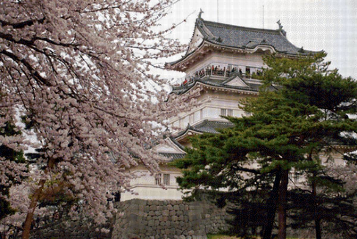 Японская весна - сакура, пагода, сосна - предпросмотр