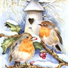 Winter birds