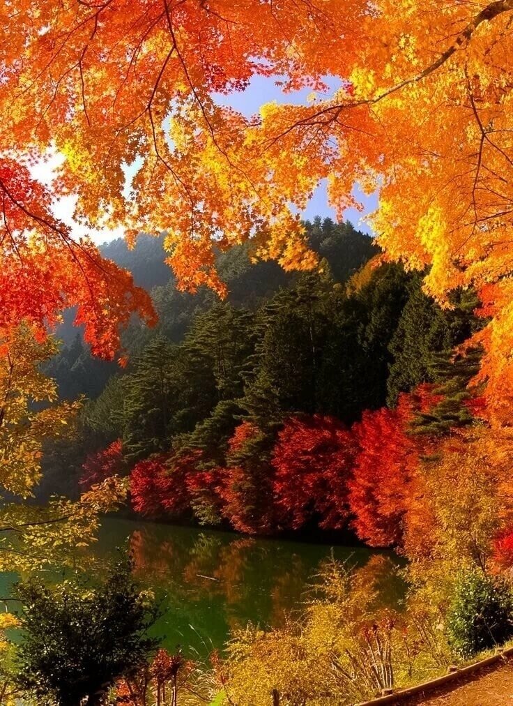 осень - оригинал