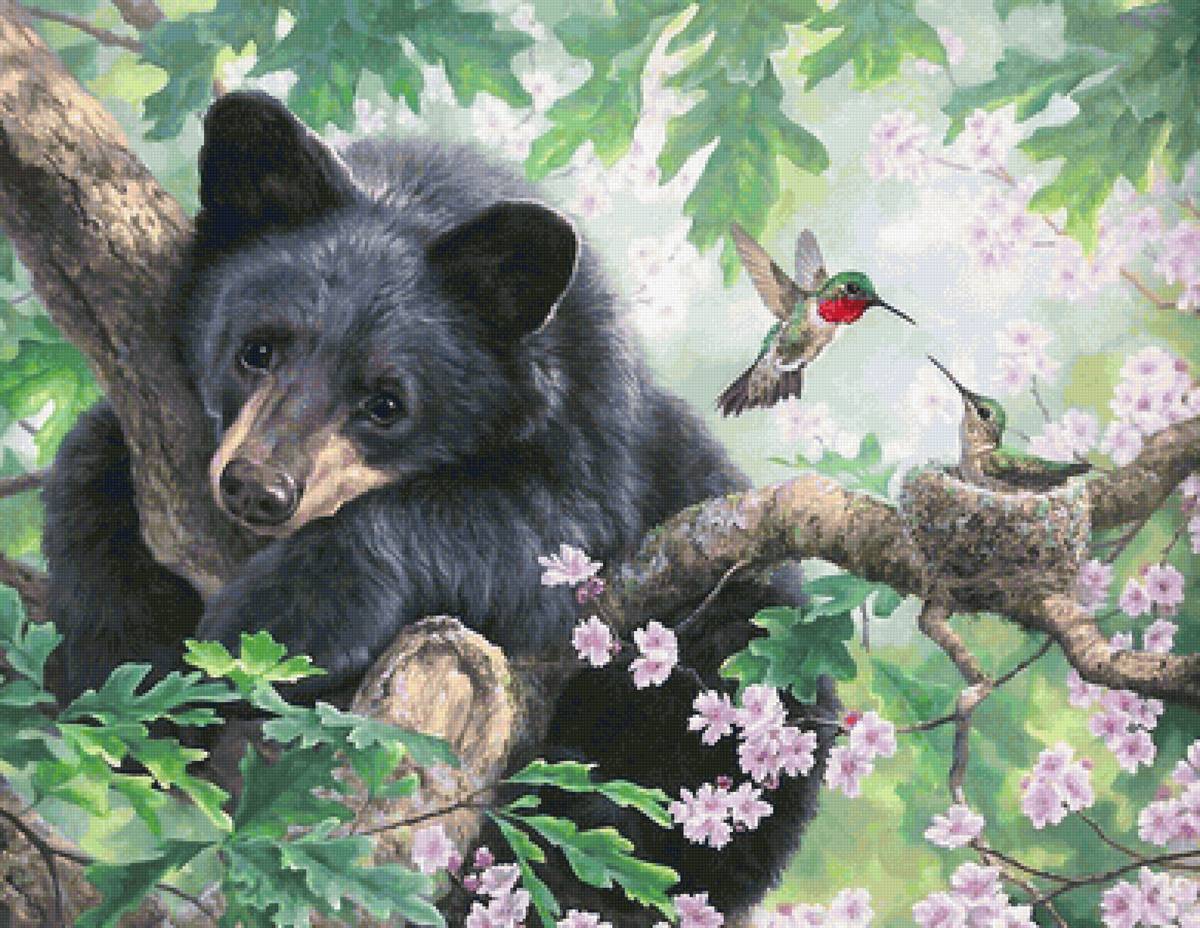 медведь и птицы - предпросмотр