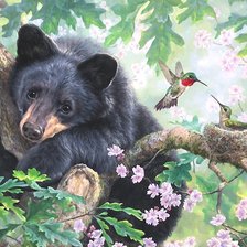 Схема вышивки «медведь и птицы»