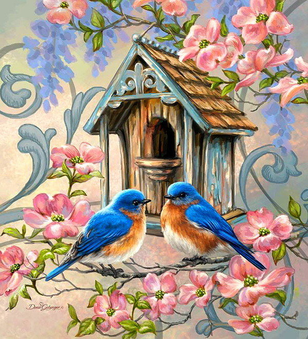 Птицы - природа, птицы - оригинал