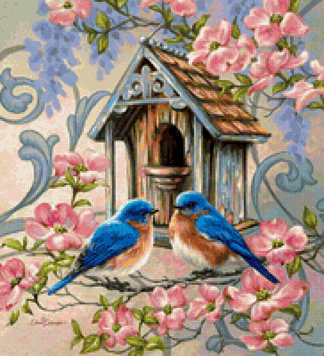 Птицы - природа, птицы - предпросмотр