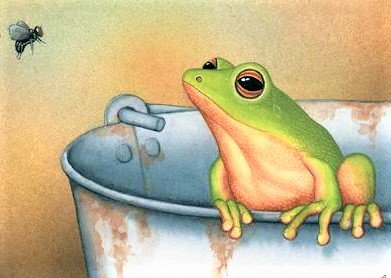 Frog and fly - животные - оригинал