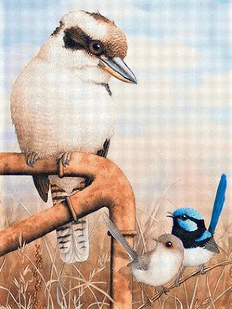 Kukubara and family fitches - птицы - предпросмотр