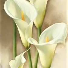 Схема вышивки «Calla Lillies»