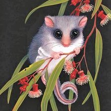 Схема вышивки «Possums on black canva»